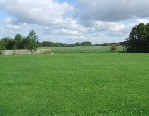 School Field.jpg